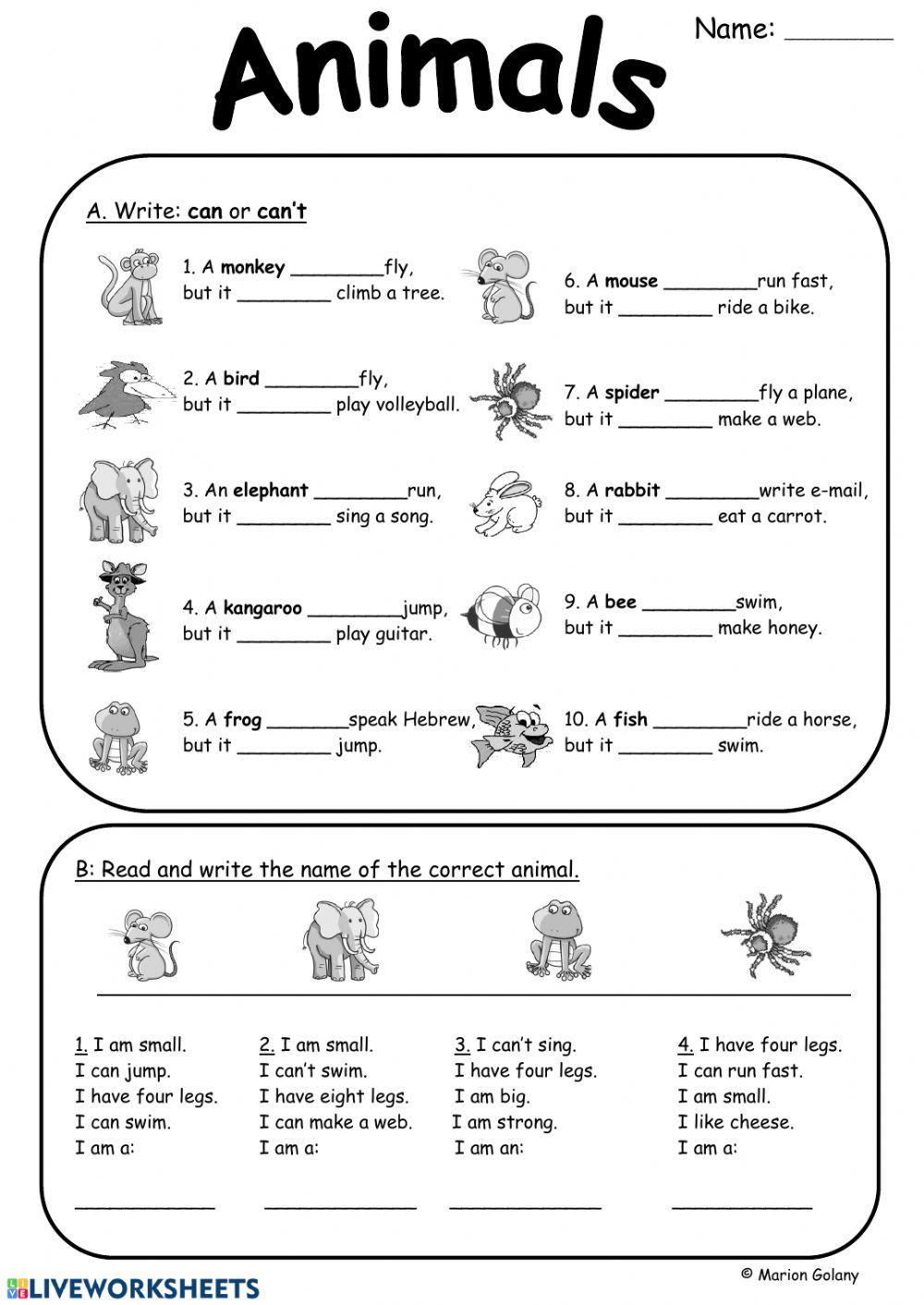 Worksheets 3 класс английский язык. Задания i can для малышей. Упражнения на can в английском языке. Задания по английскому языку can can't. Упражнения английский can could.
