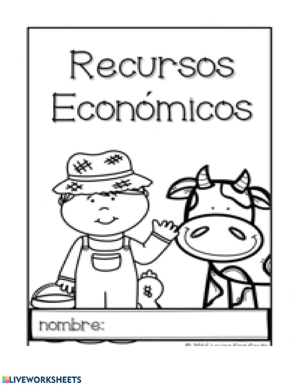 Libro de Recursos económicos