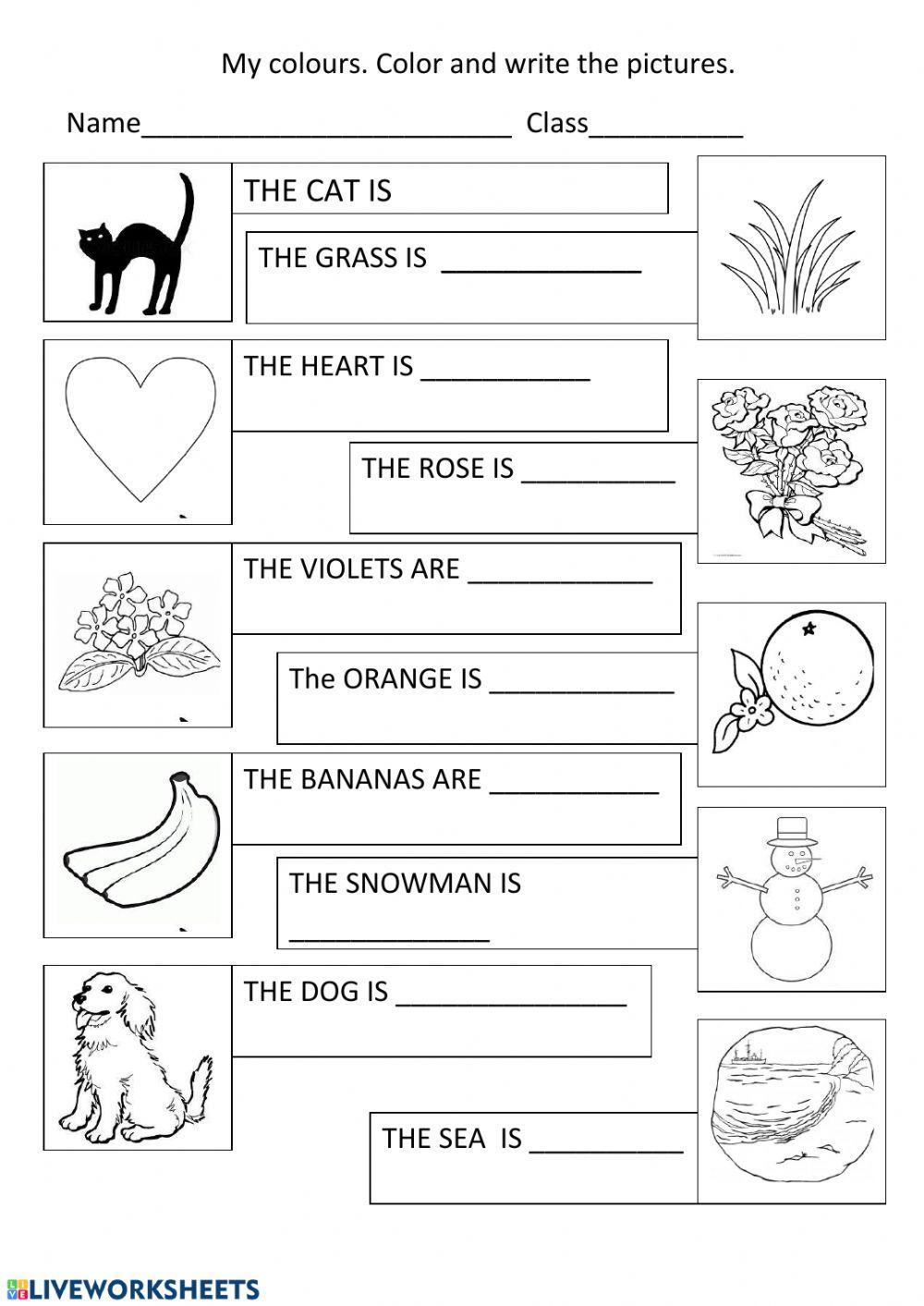 Write the colors | Estela Verdú | Live Worksheets