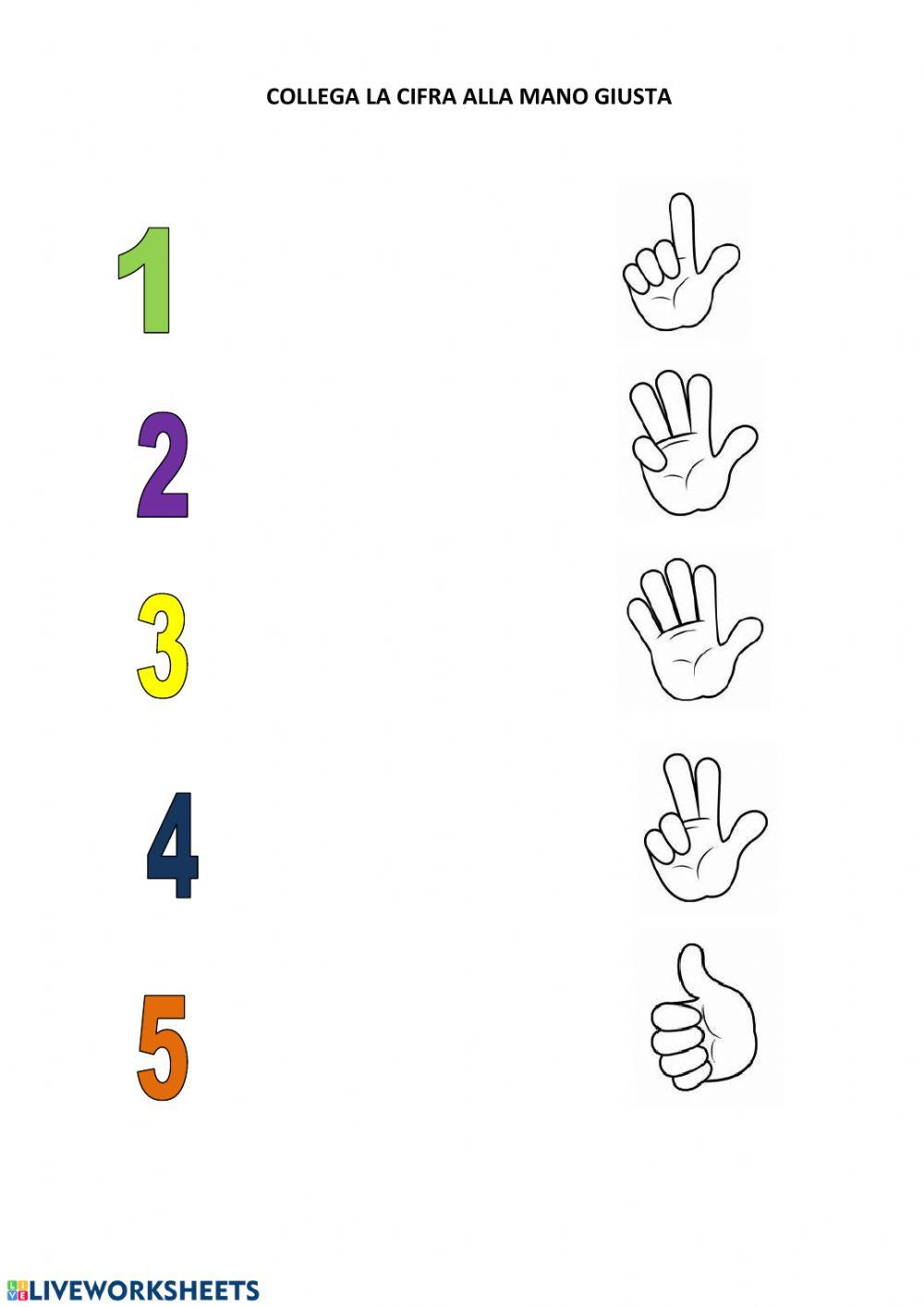 Mani e numeri 1 - 5