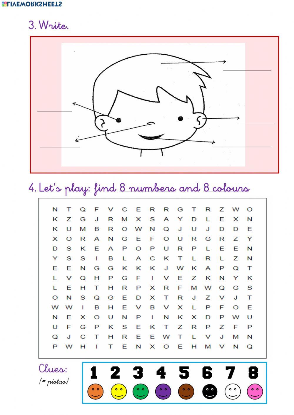 Body Vocabulary Body Vocabulary