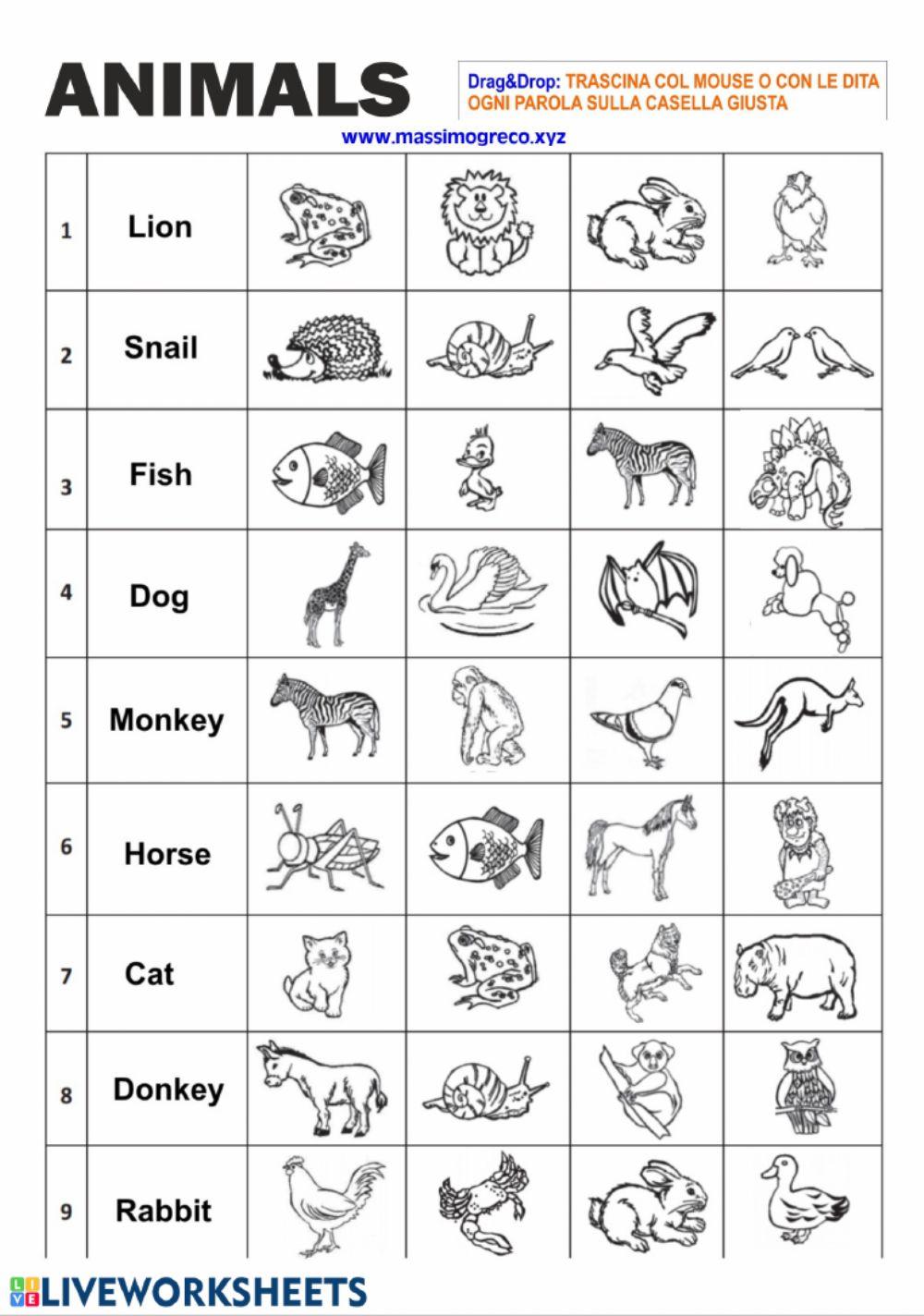 Drag and drop: animal names