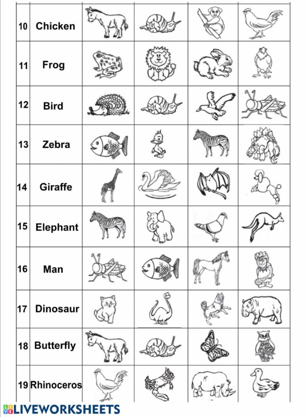 Drag and drop: animal names