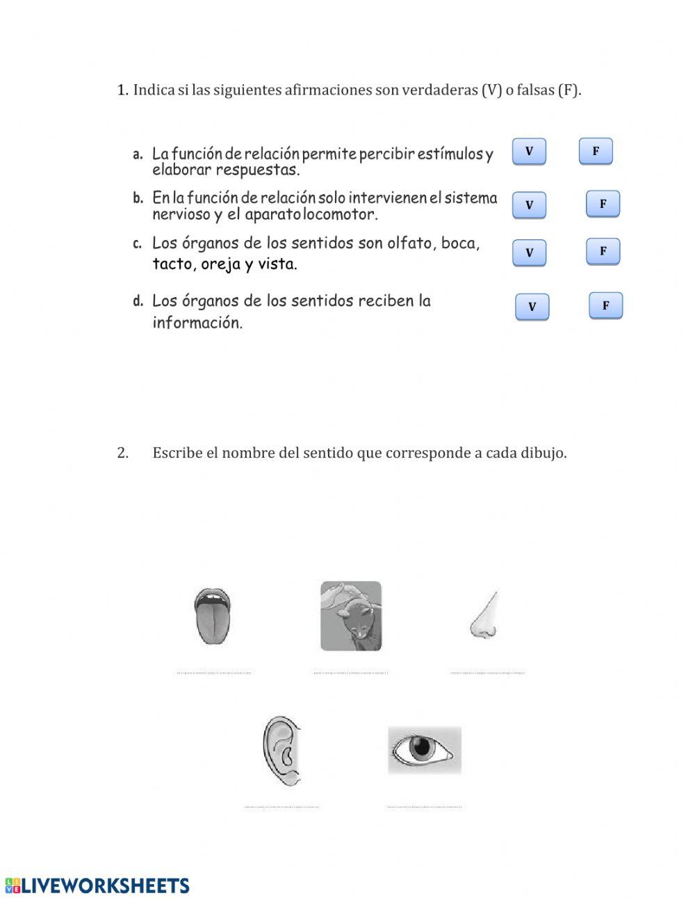 Función de relación