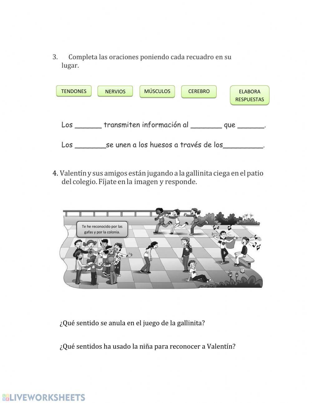 Función de relación