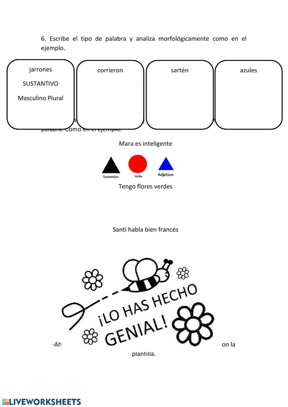 Evaluación 1º curso Lengua
