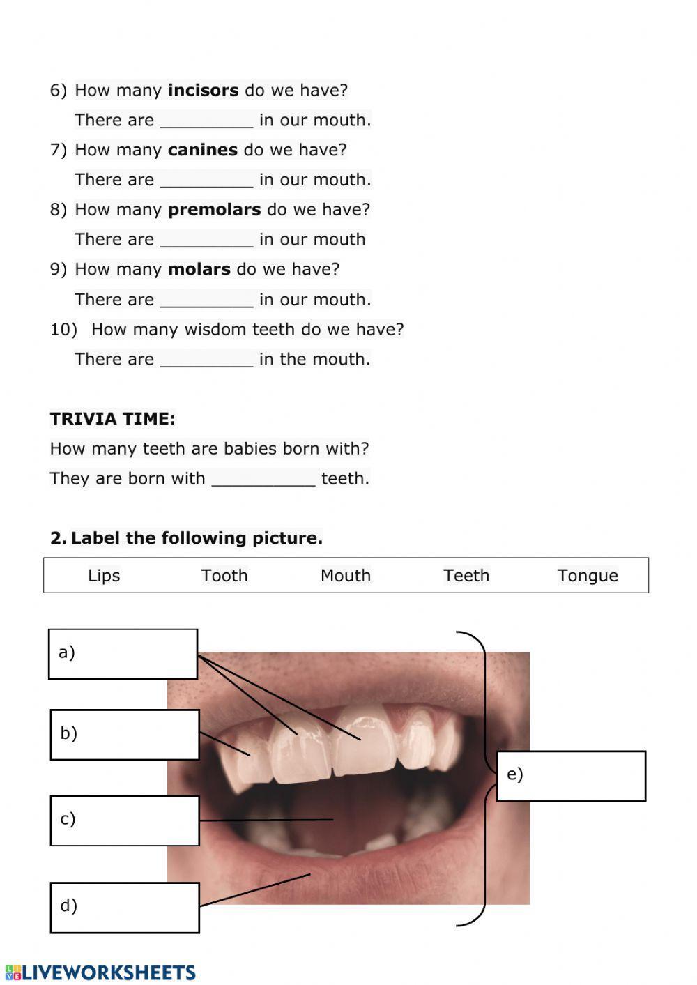 NUTRITION 3 - teeth