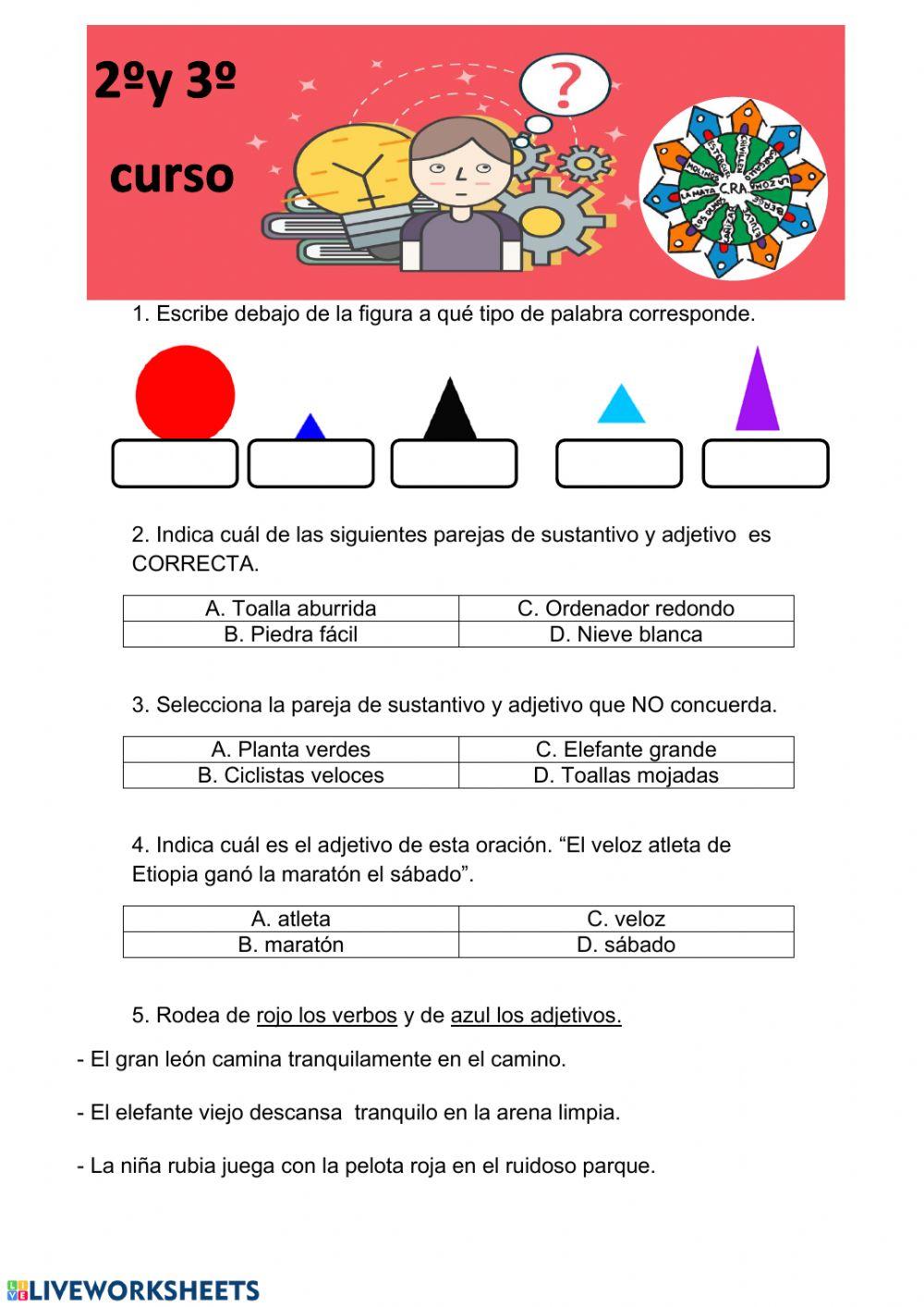 Evaluación 2º curso Lengua