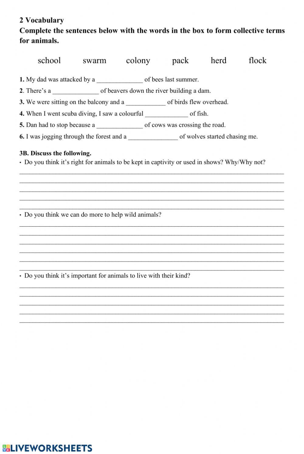 To the Top 4a Module 3