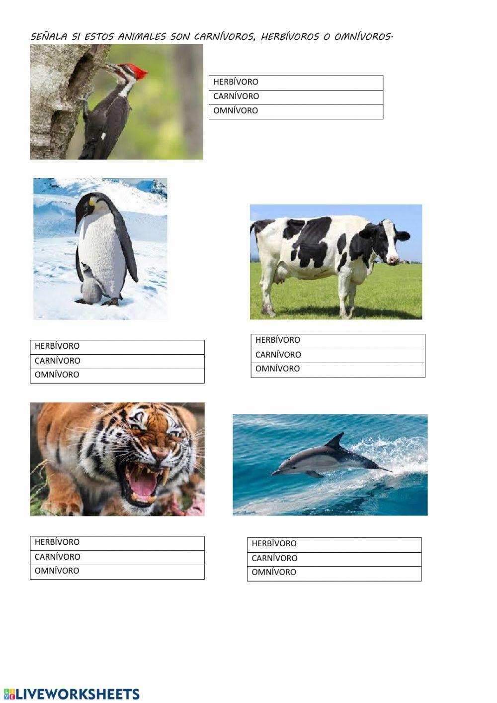 Clasificación de animales según su alimentación