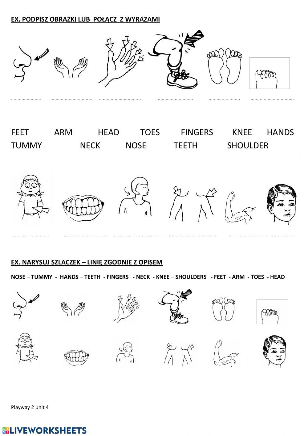 5410037 playway Karolina Gac LiveWorksheets 5410037 playway Karolina Gac LiveWorksheets