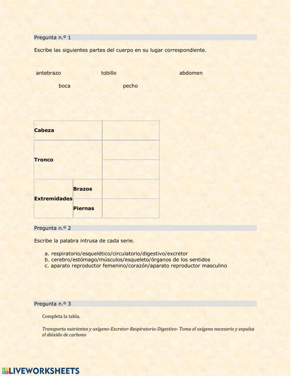 Las funciones vitales