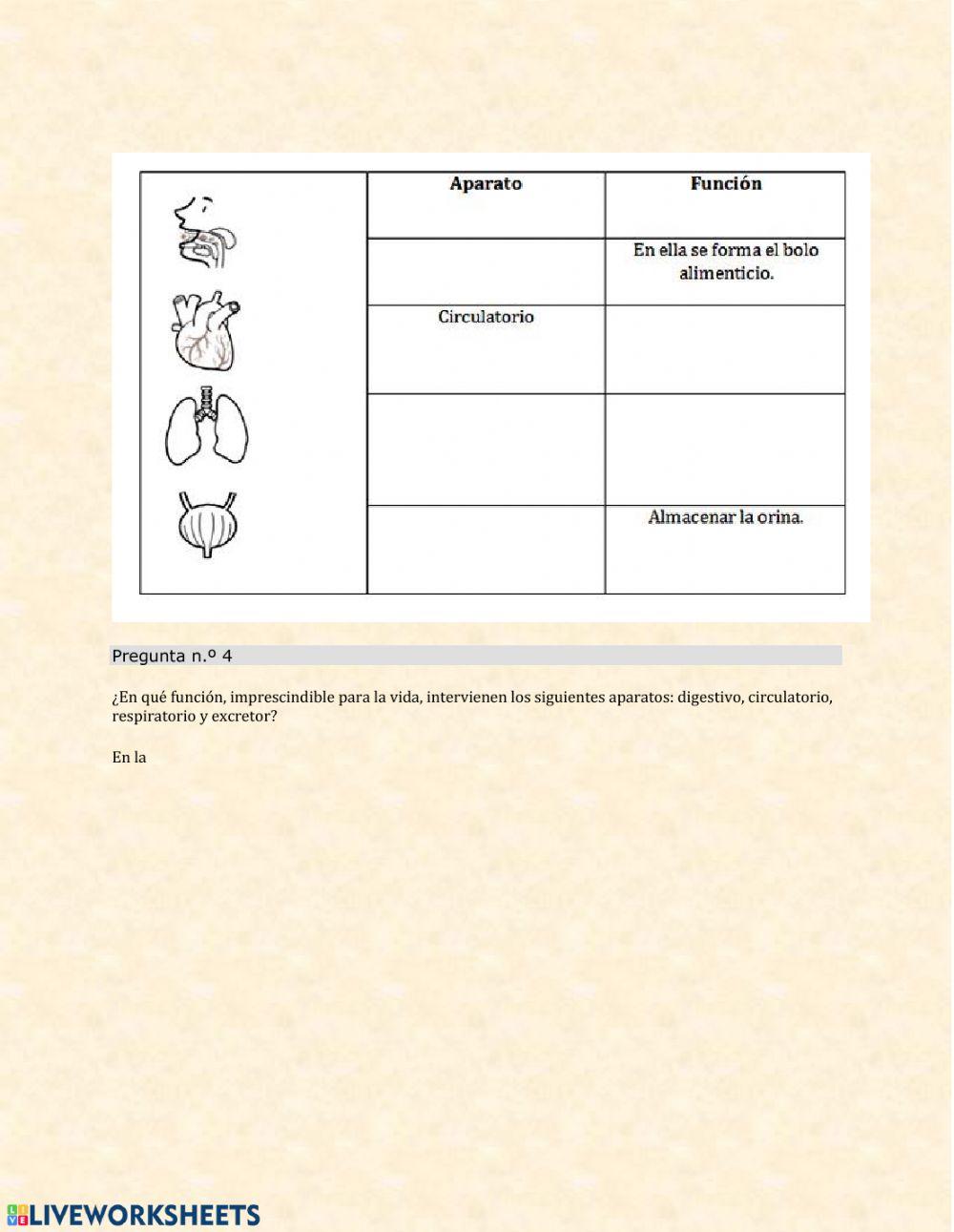 Las funciones vitales