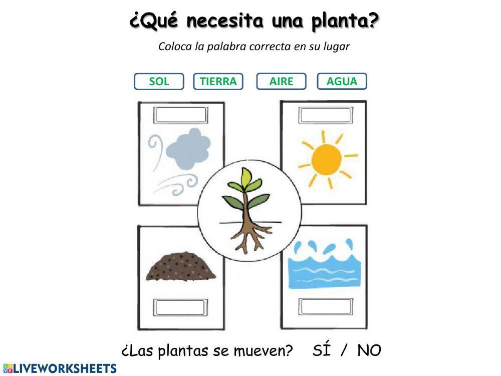 Las plantas necesitan...
