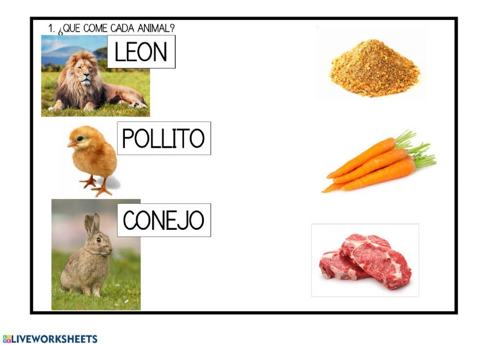 Animales y su comida