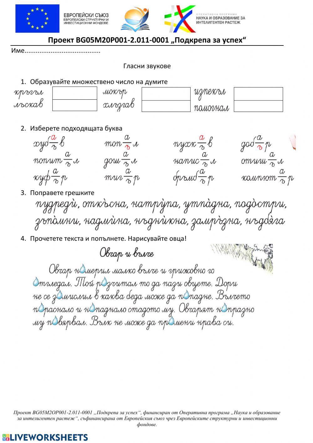 Правопис на гласни и съгласни