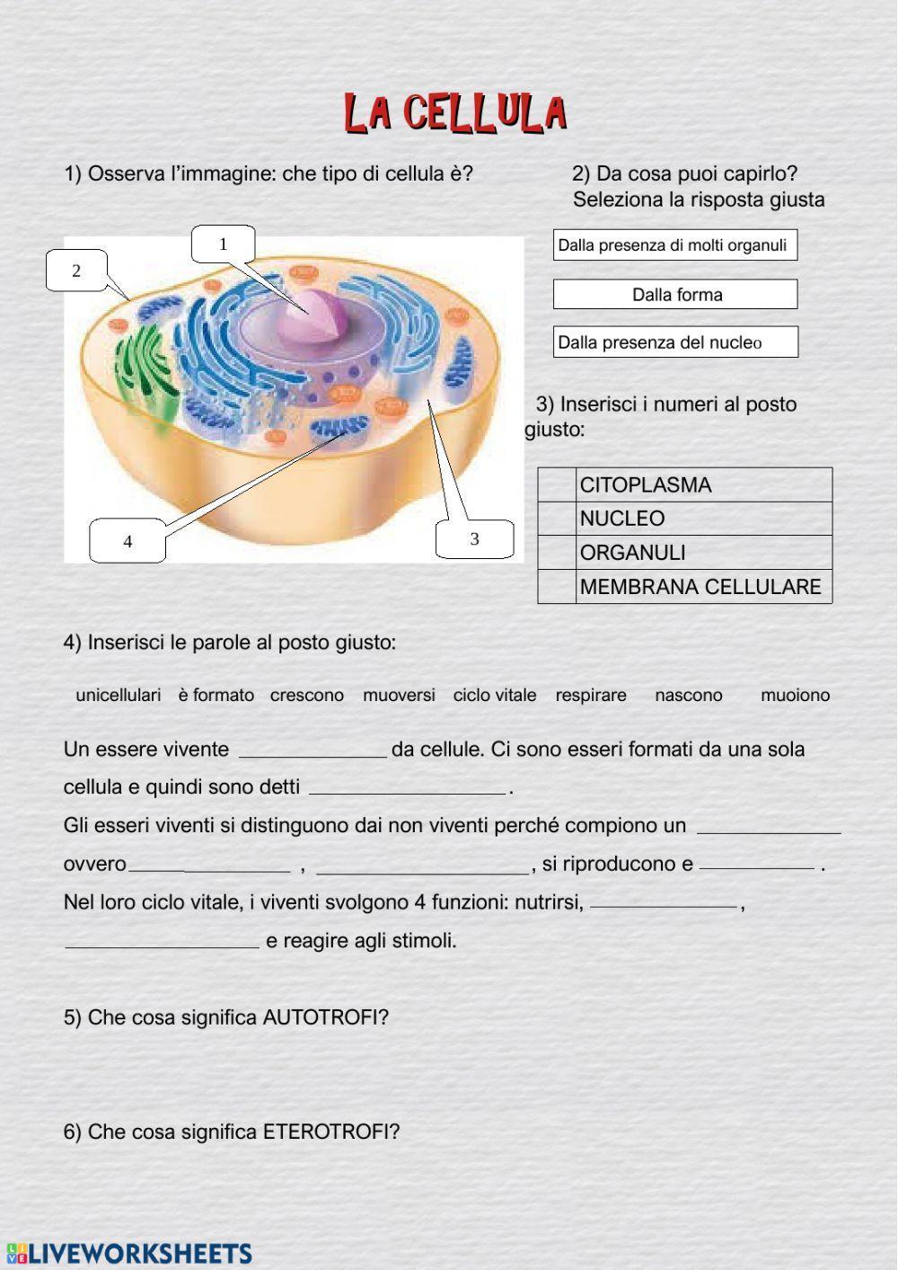 La cellula e i viventi