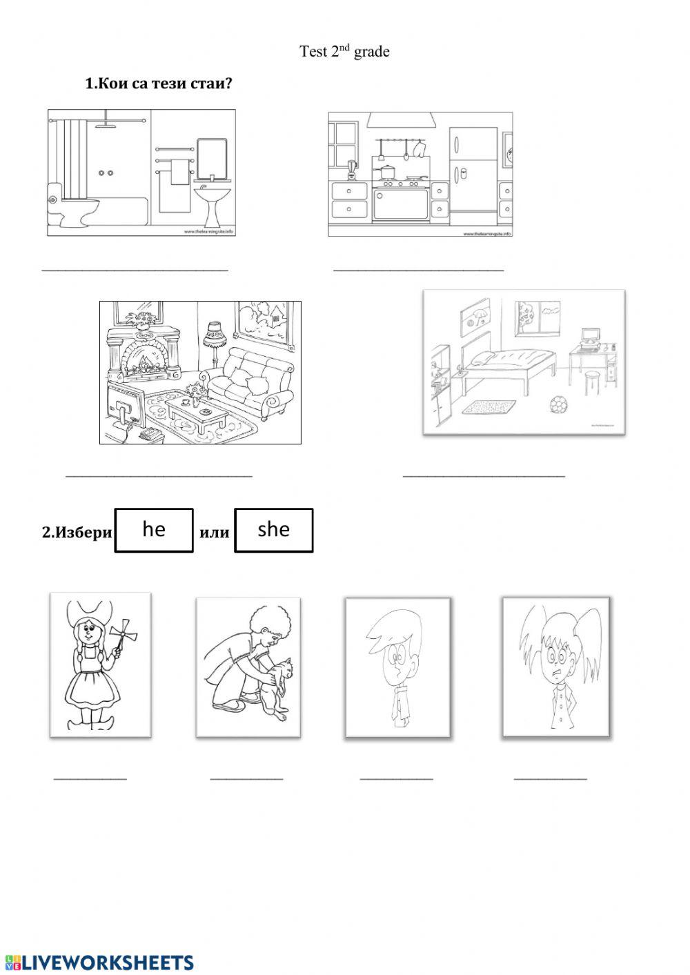 She-he worksheet | Live Worksheets