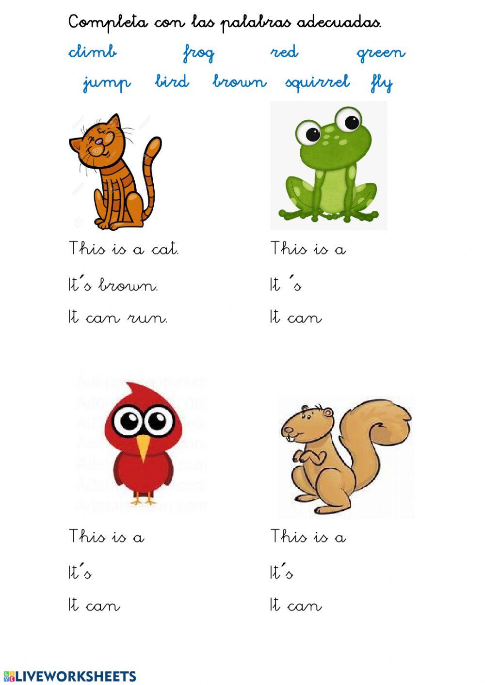 Animals descriptions