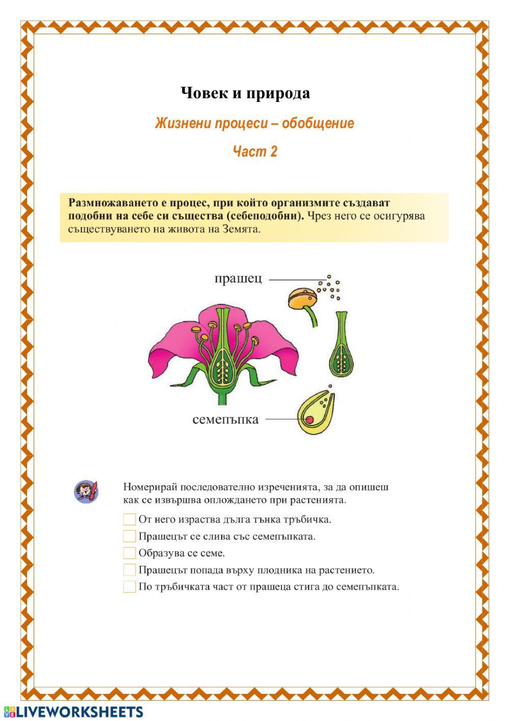 Човек и природа - Жизнени процеси - част 2