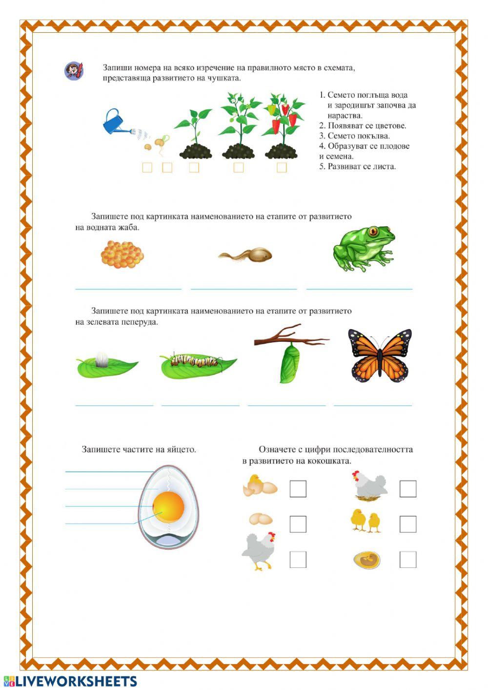 Човек и природа - Жизнени процеси - част 2