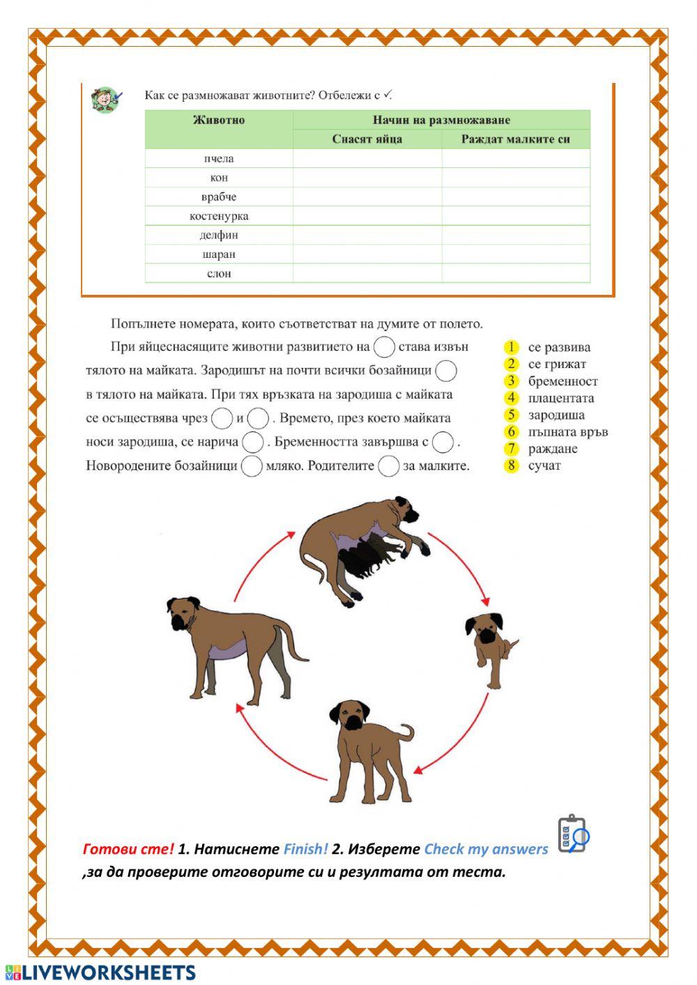 Човек и природа - Жизнени процеси - част 2