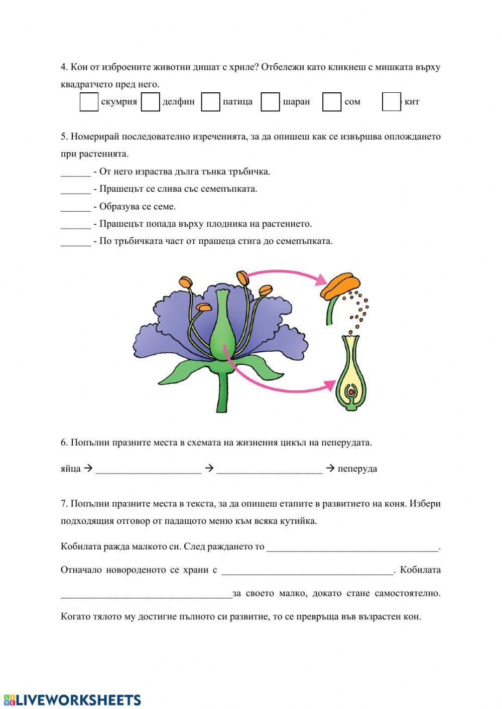 Тест - Жизнени процеси