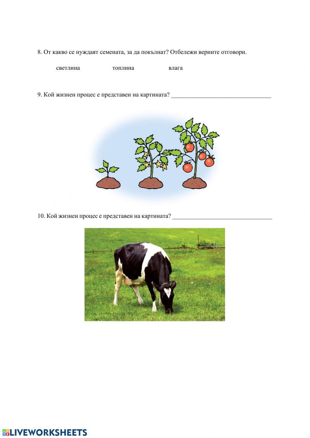 Тест - Жизнени процеси