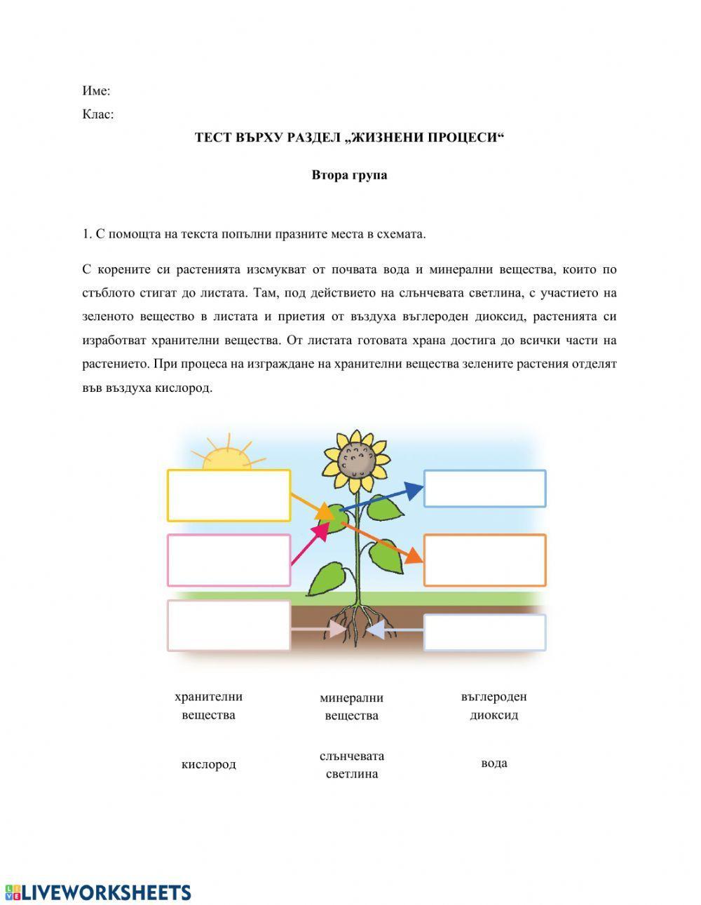 Тест Жизнени процеси