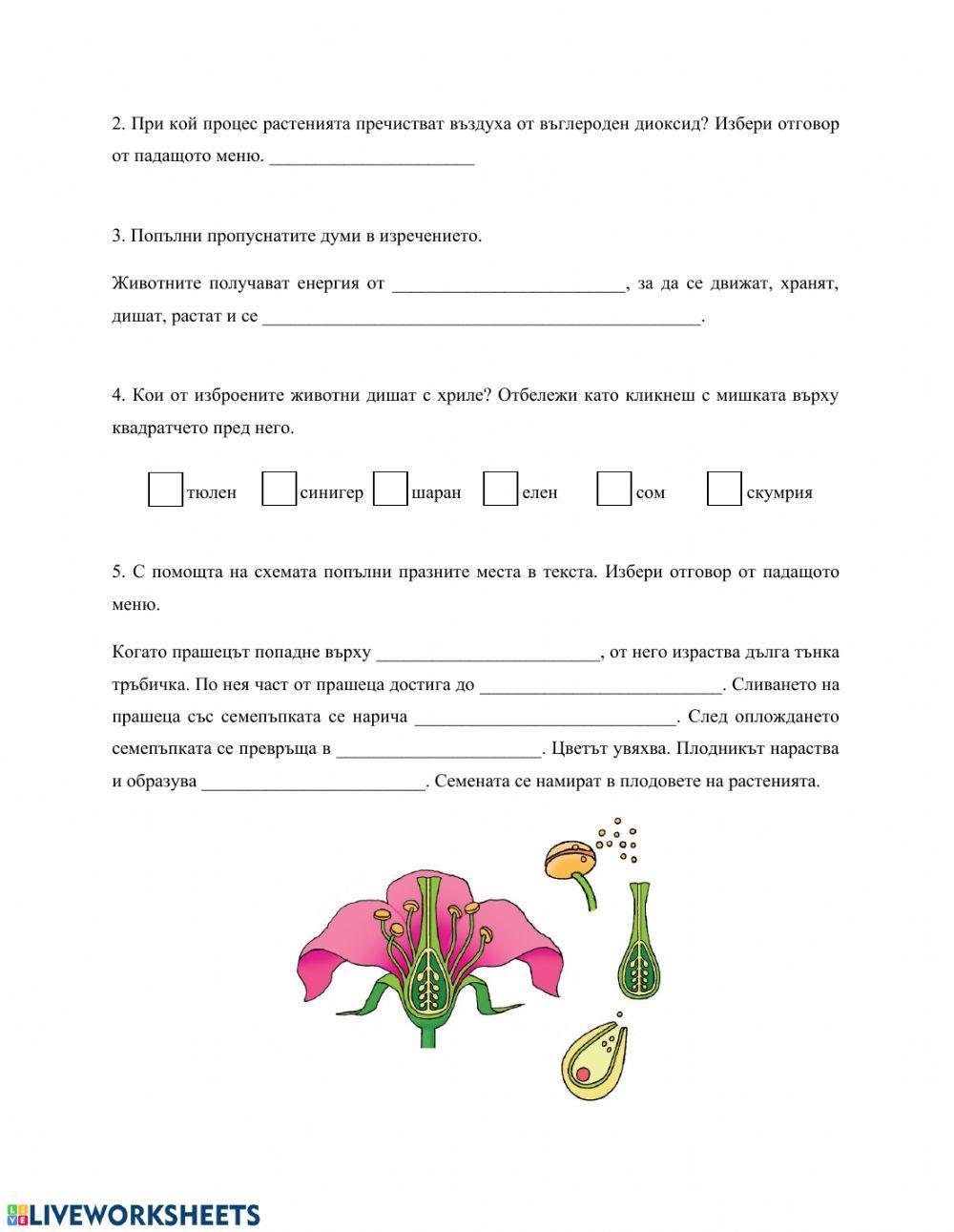 Тест Жизнени процеси