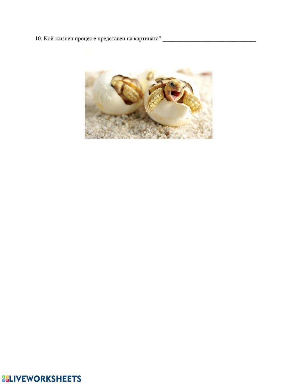 Тест Жизнени процеси