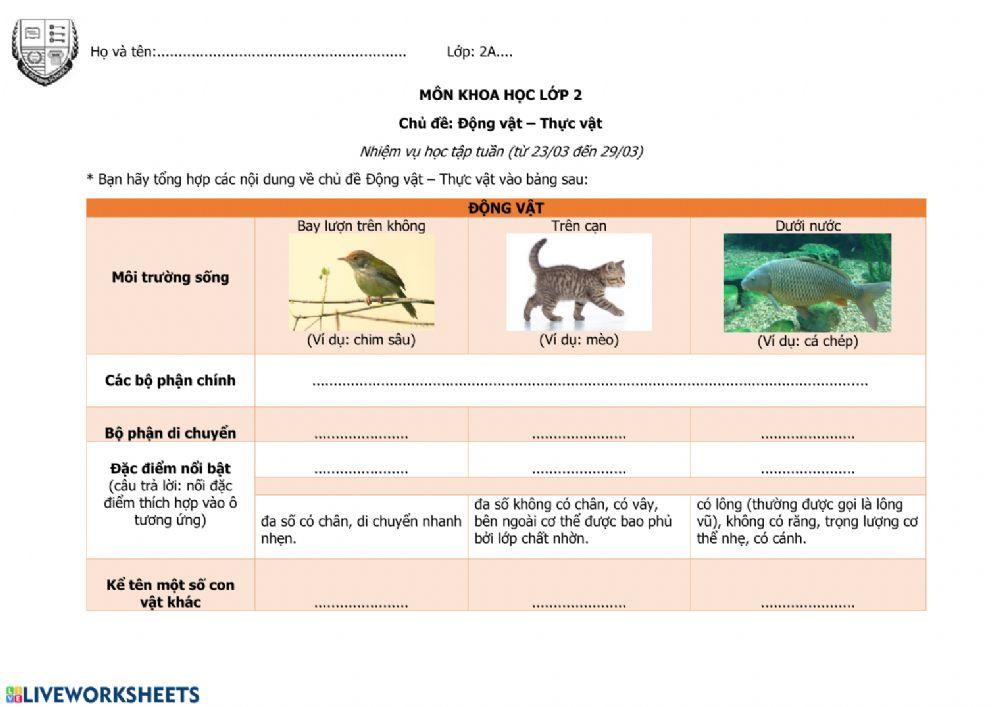 Động vật - Thực vật