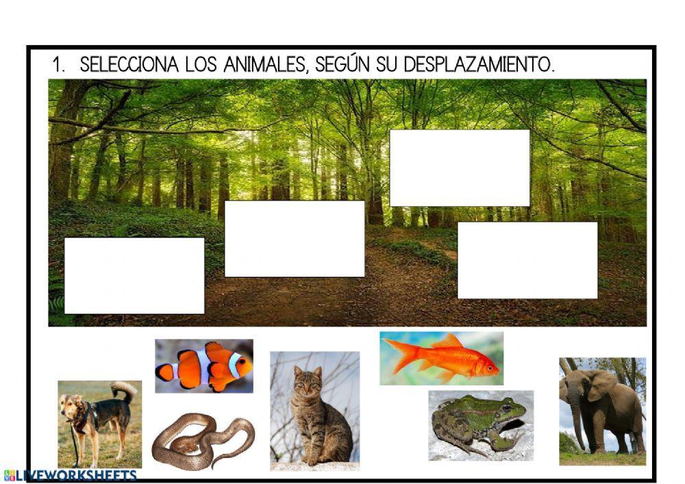 Animales desplazamiento