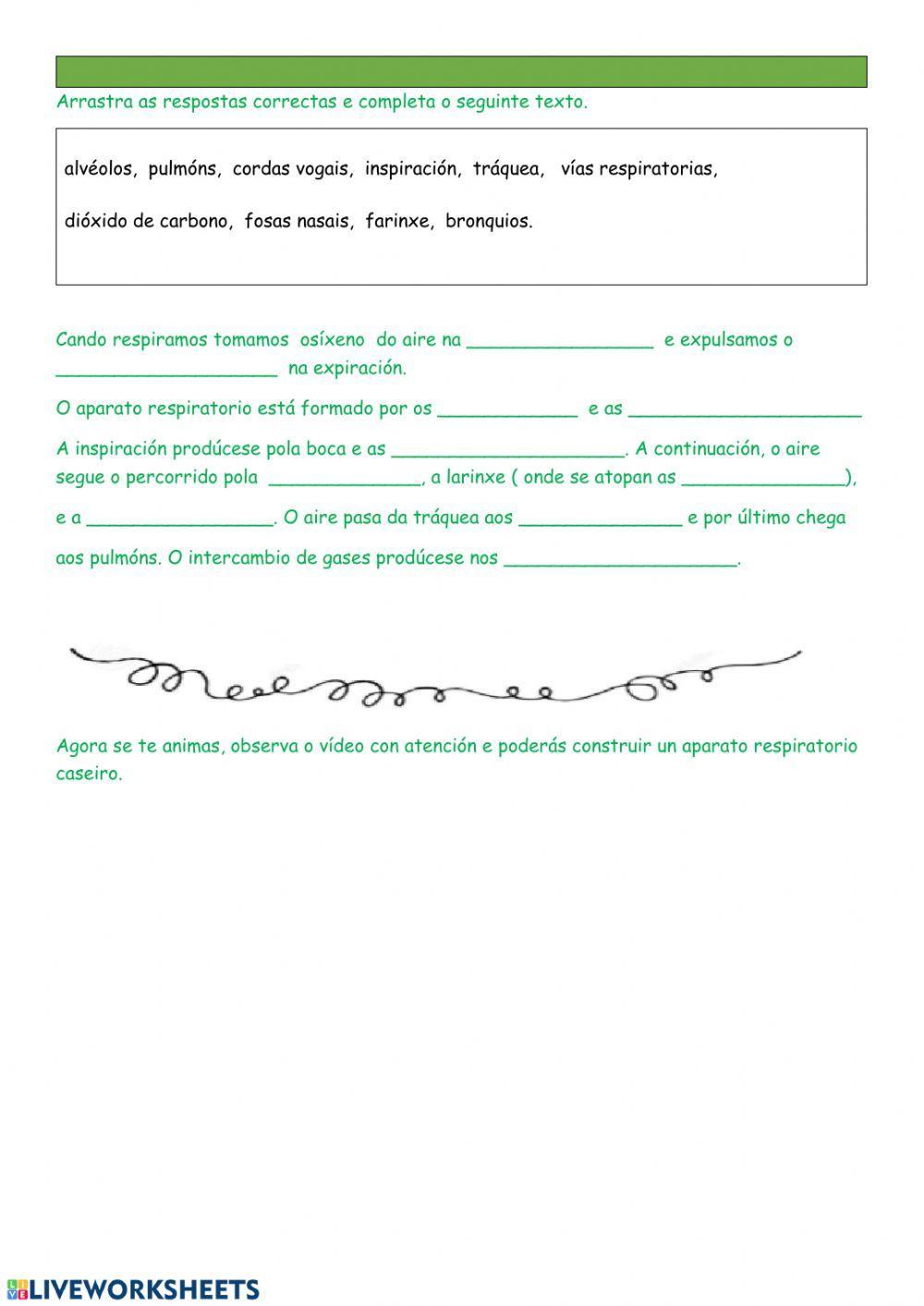 O aparato respiratorio