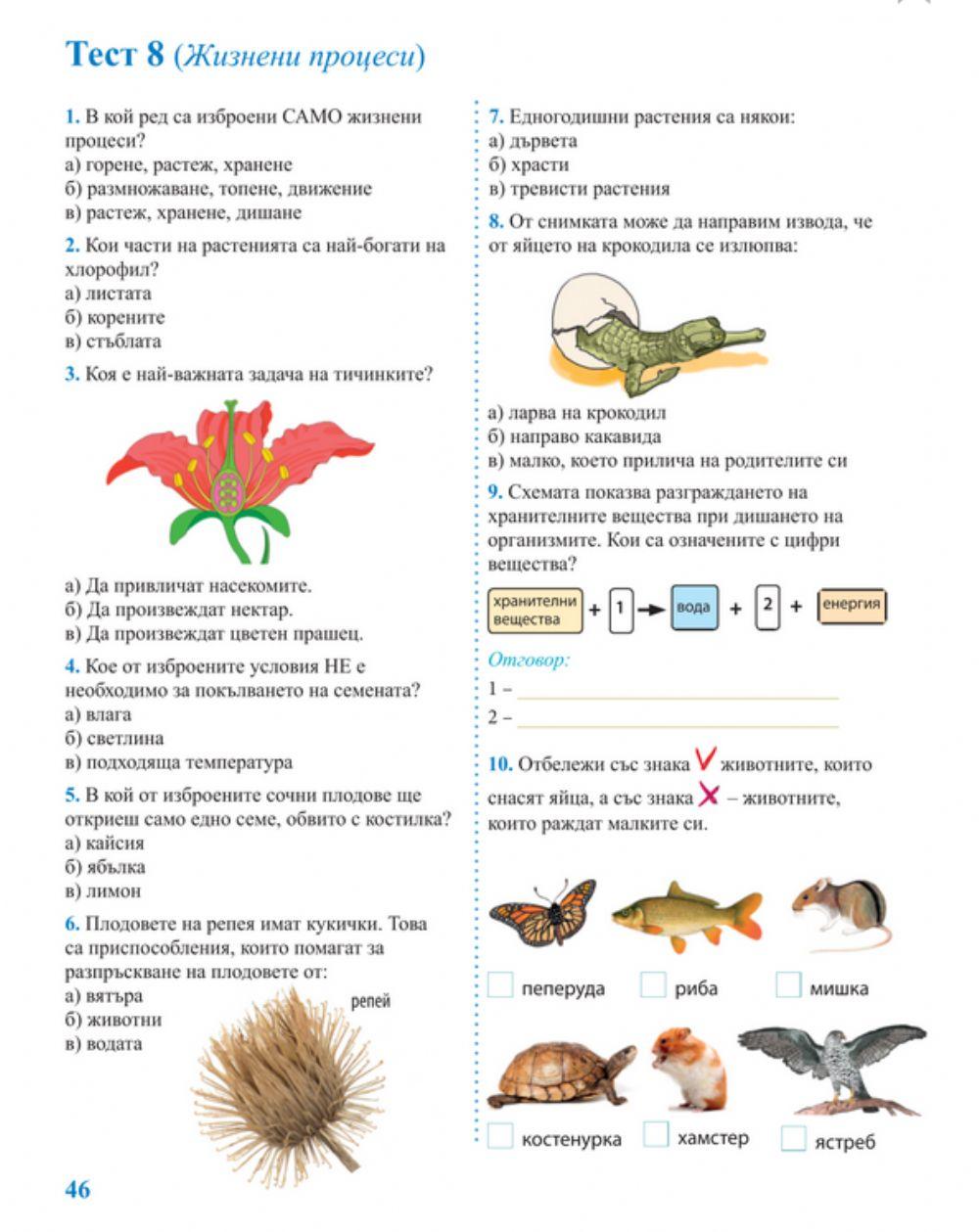 Жизнени процеси