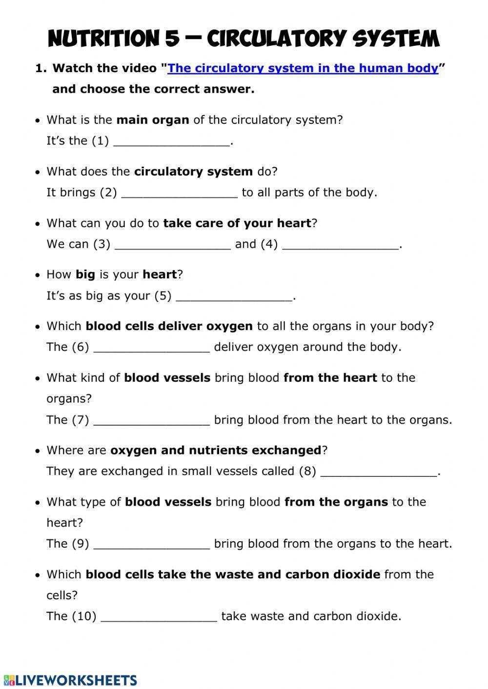 NUTRITION 5 - Circulatory system