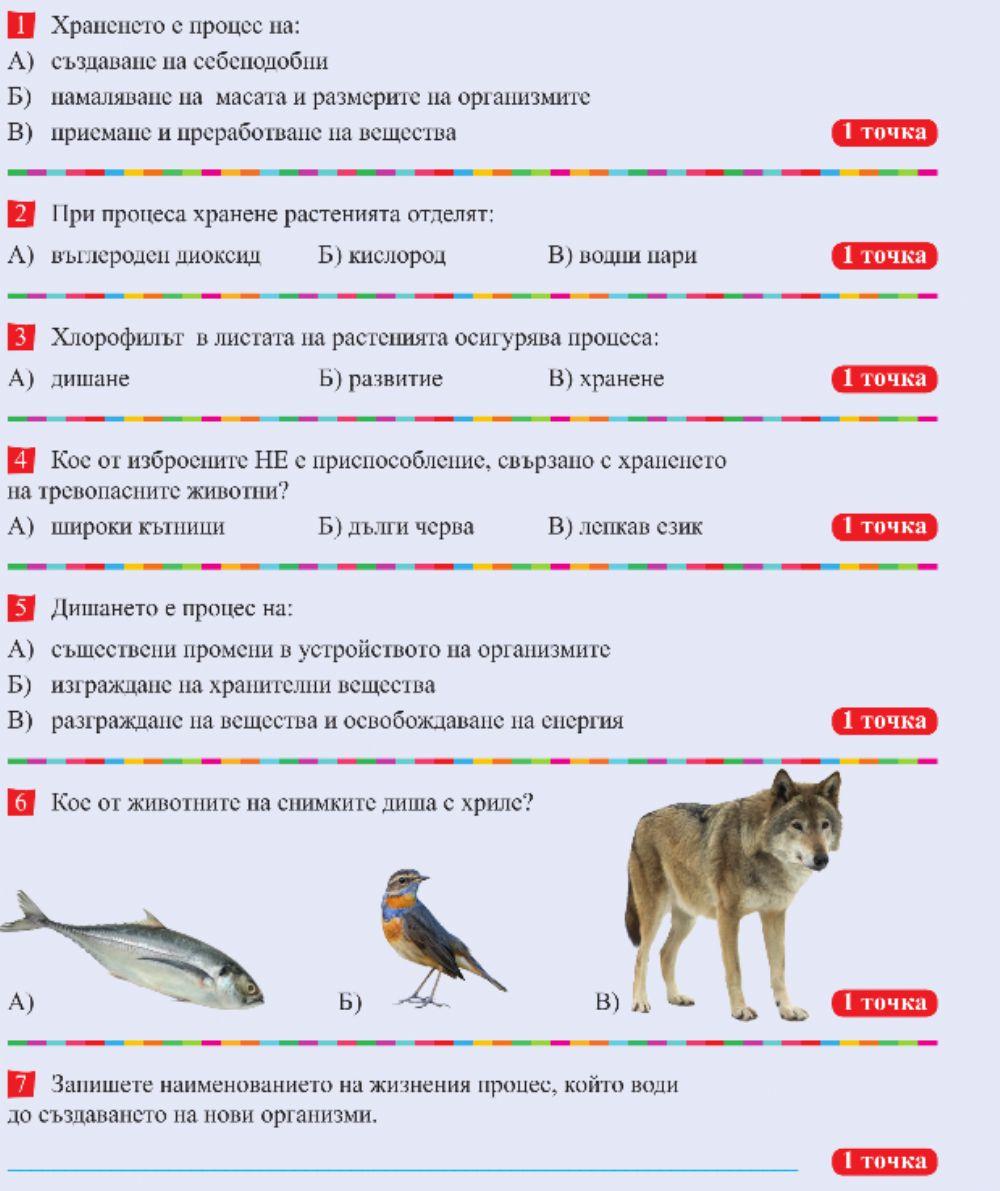 Жизнени процеси