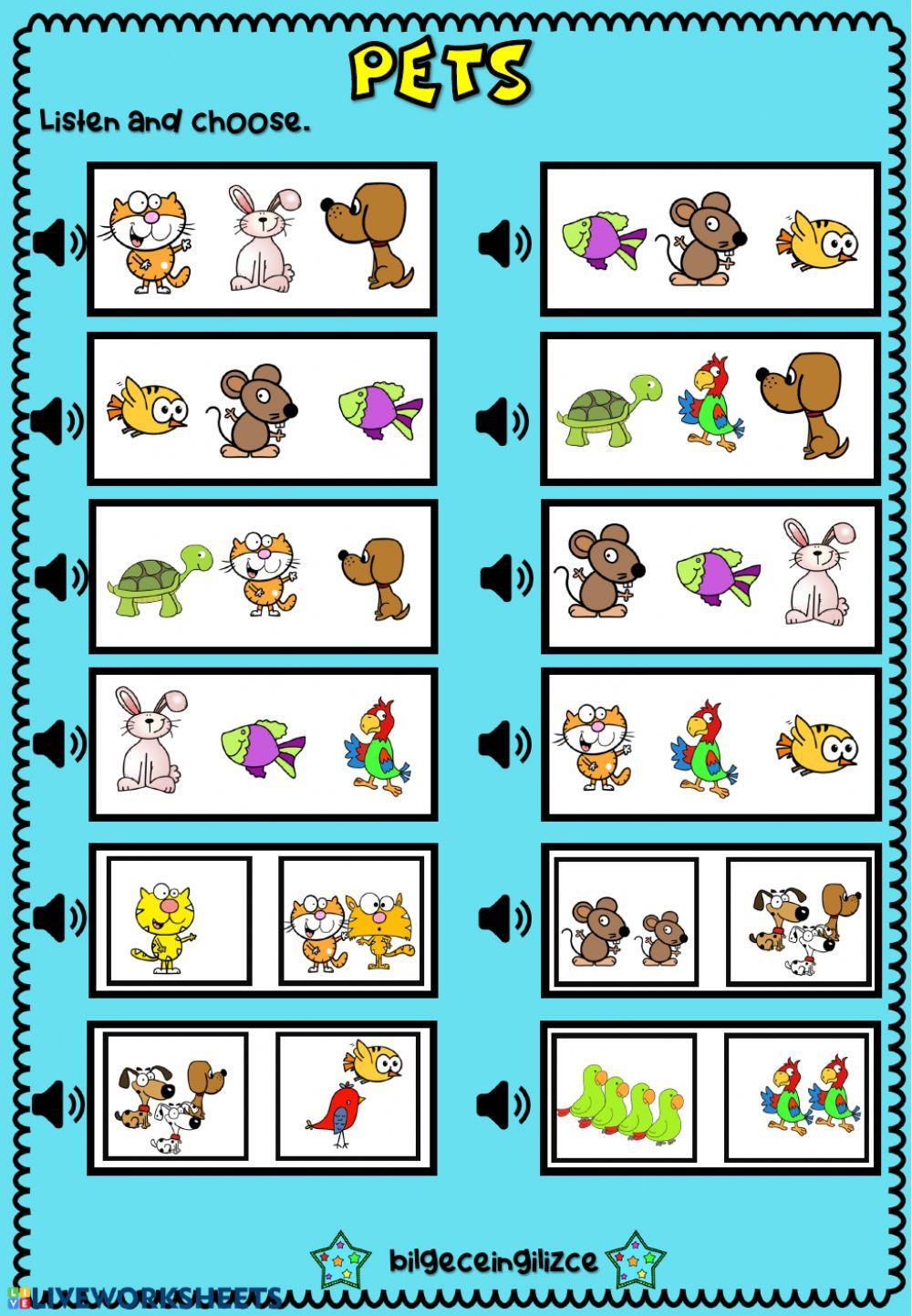Keeping pets listen. Pets ESL. Pets in English. My Pet Worksheets for Kids. ESL Pets photos.