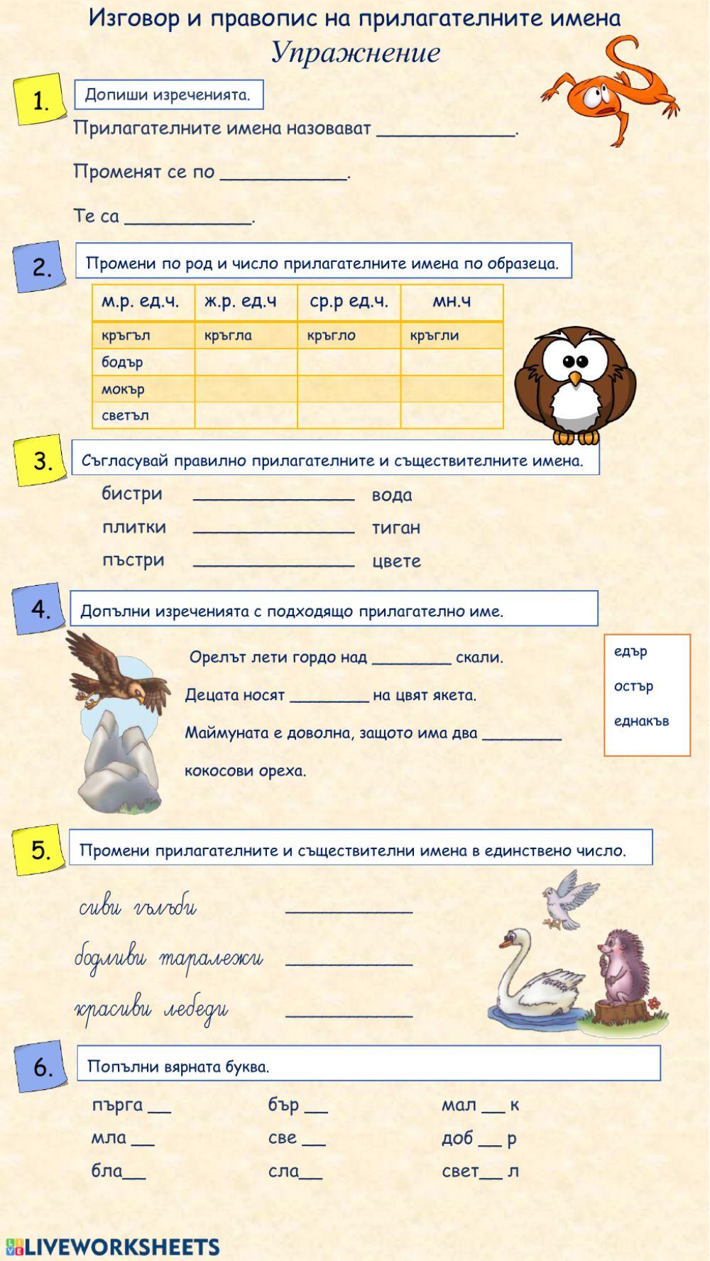 Правопис на прилагателните имена