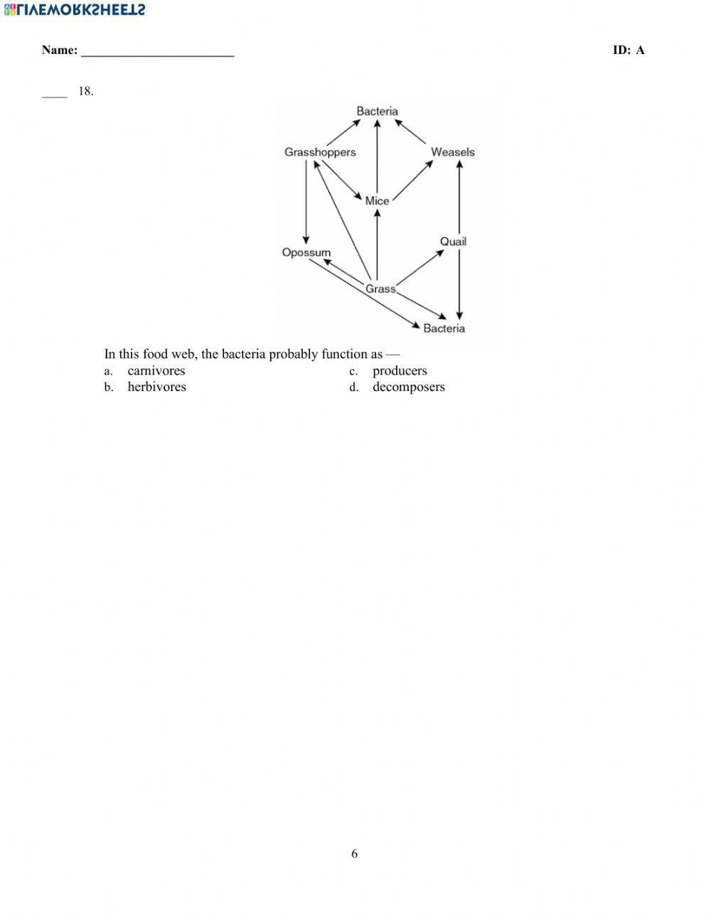 Symbiosis & Competition Test