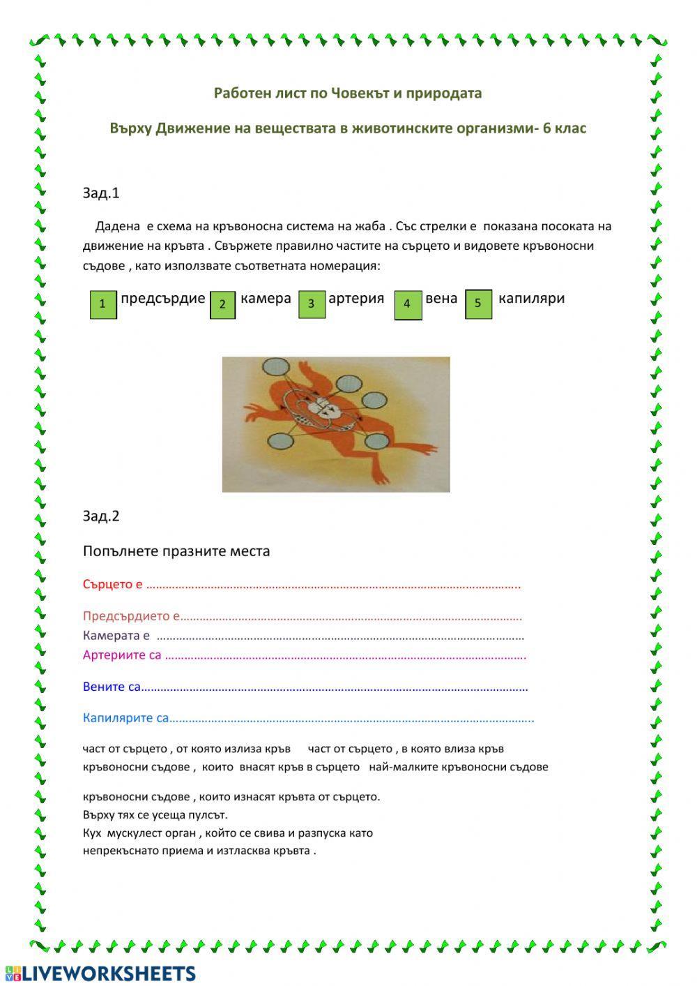 Кръвоносна система