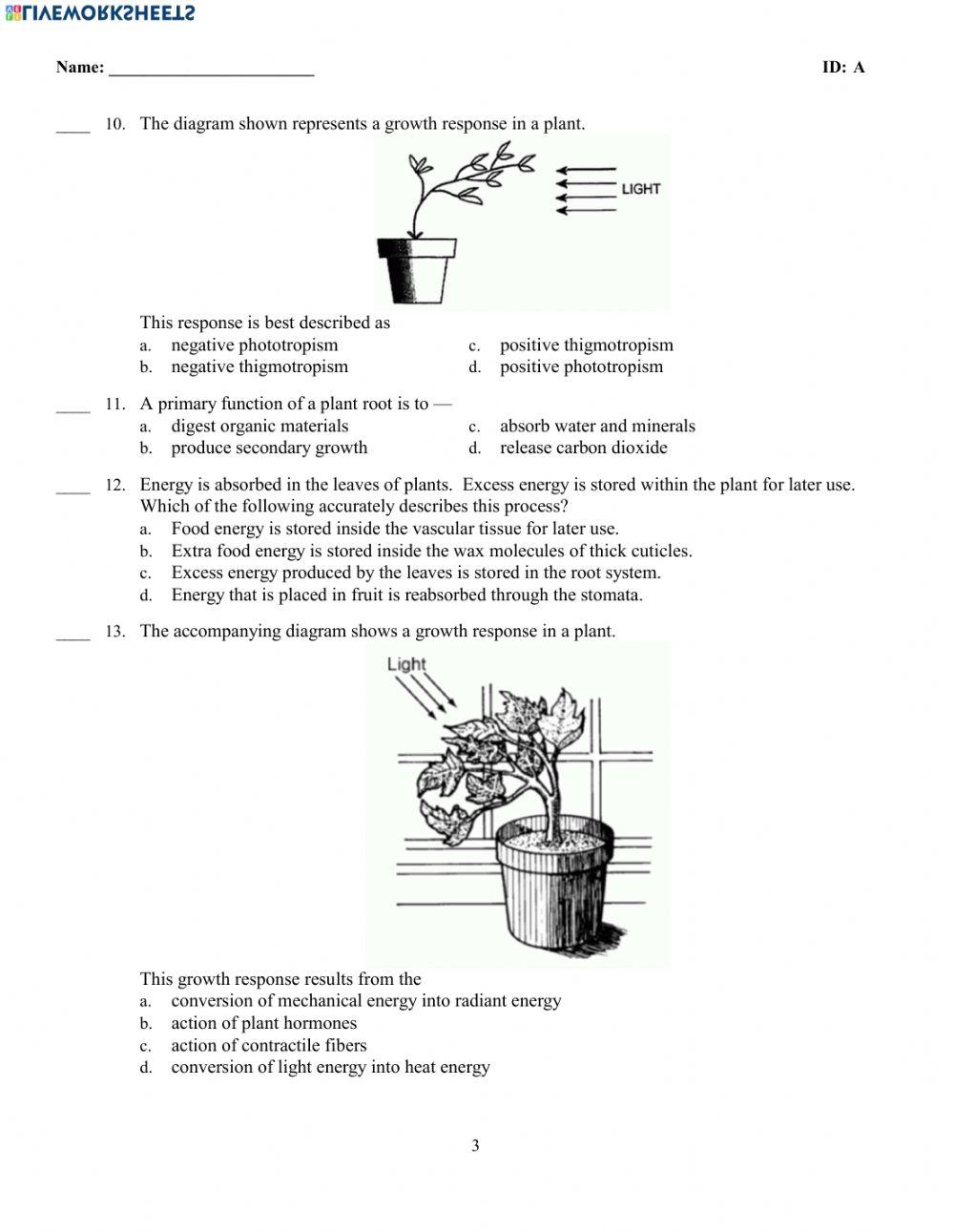 Plant Systems Test
