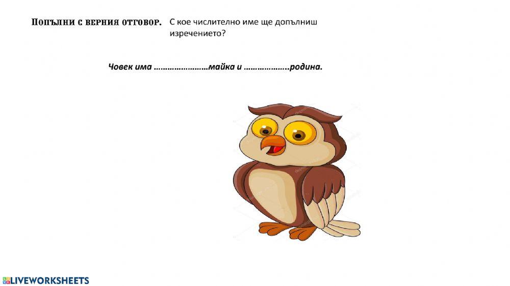 числително име