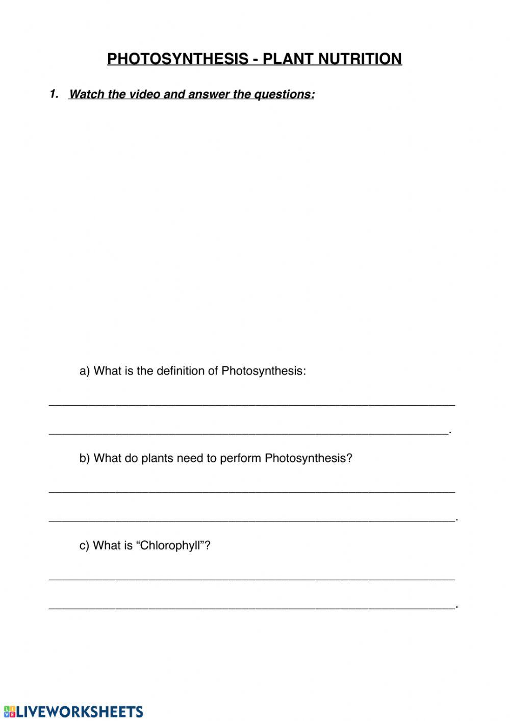 Photsynthesis