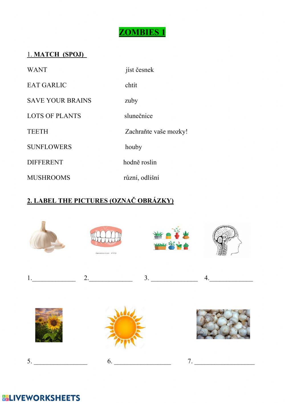 Zombie Worksheet Zombie Worksheet