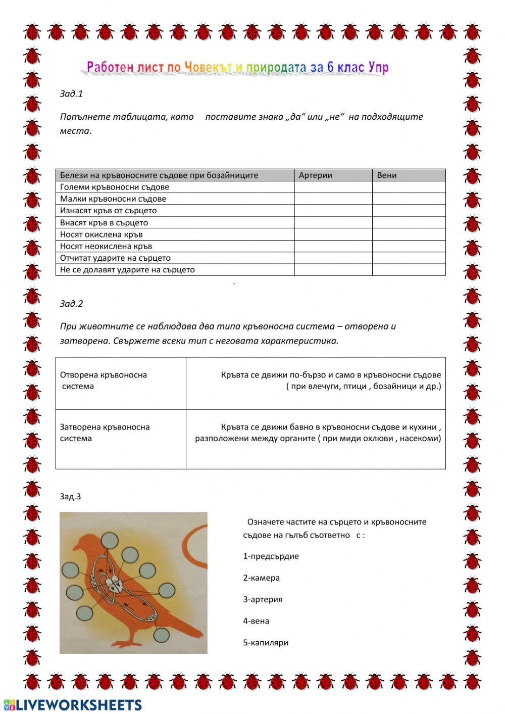 Упр.върху Кръвоносна с-ма