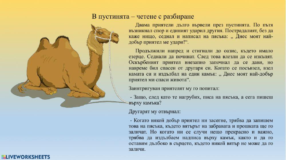 Четене с разбиране, 3 клас