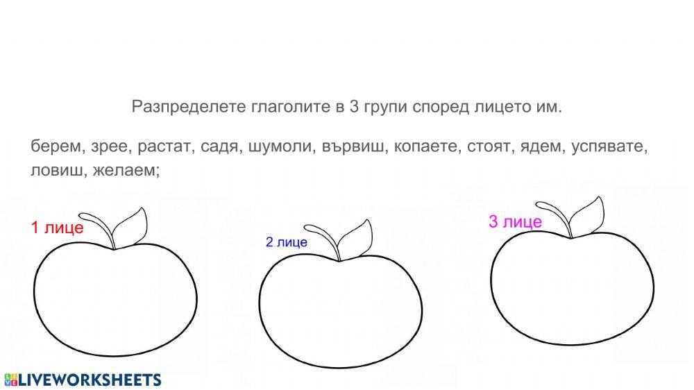 Глаголи. Употреба и правопис