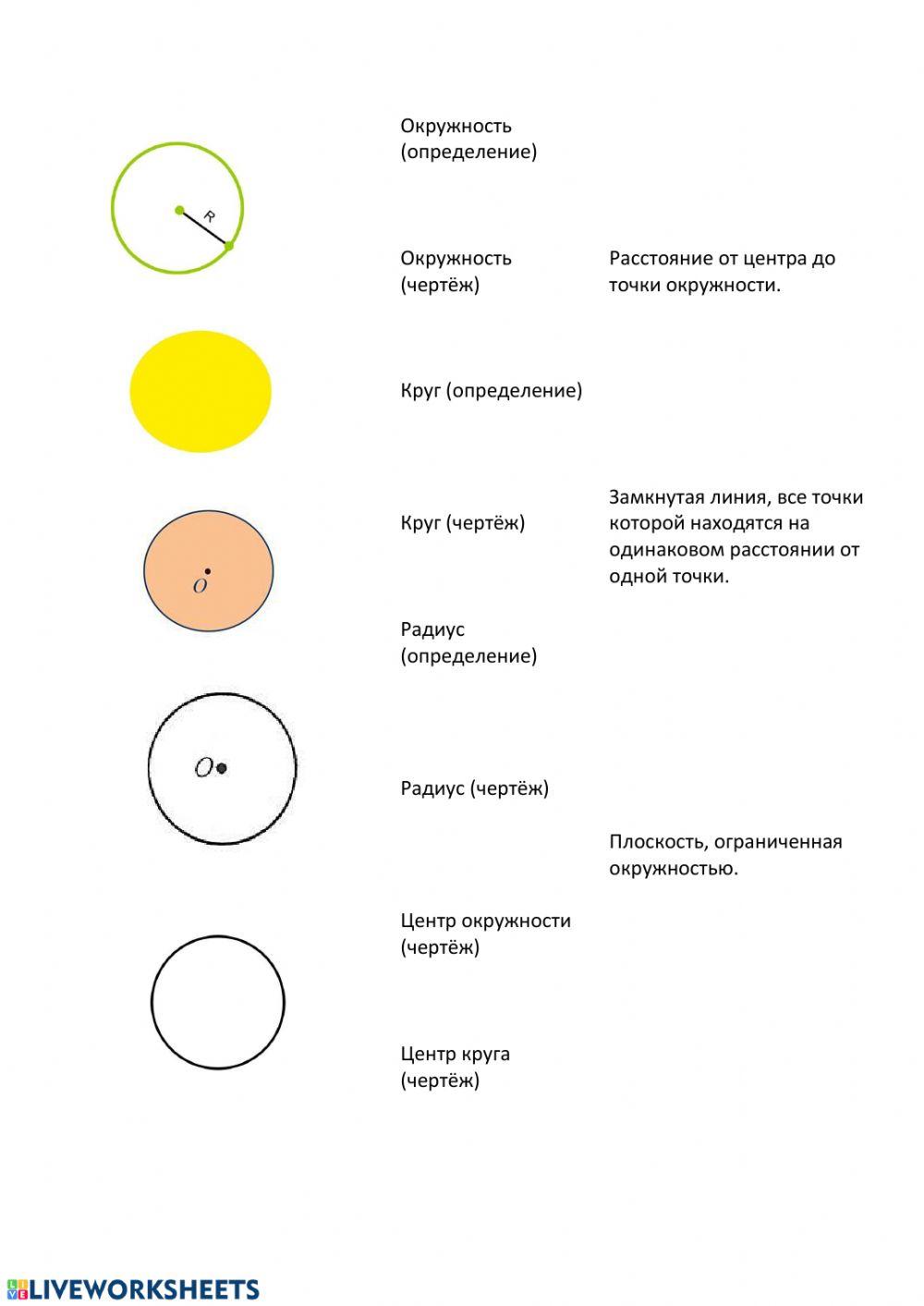 Математика: круг, окружность, радиус