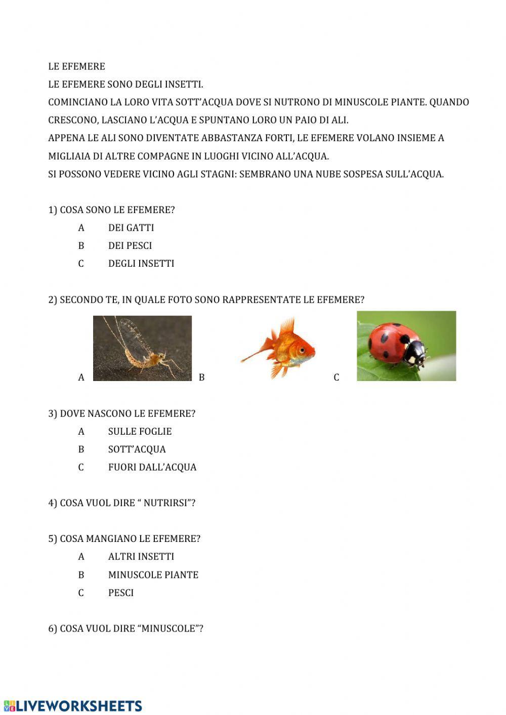 Comprensione le efemere